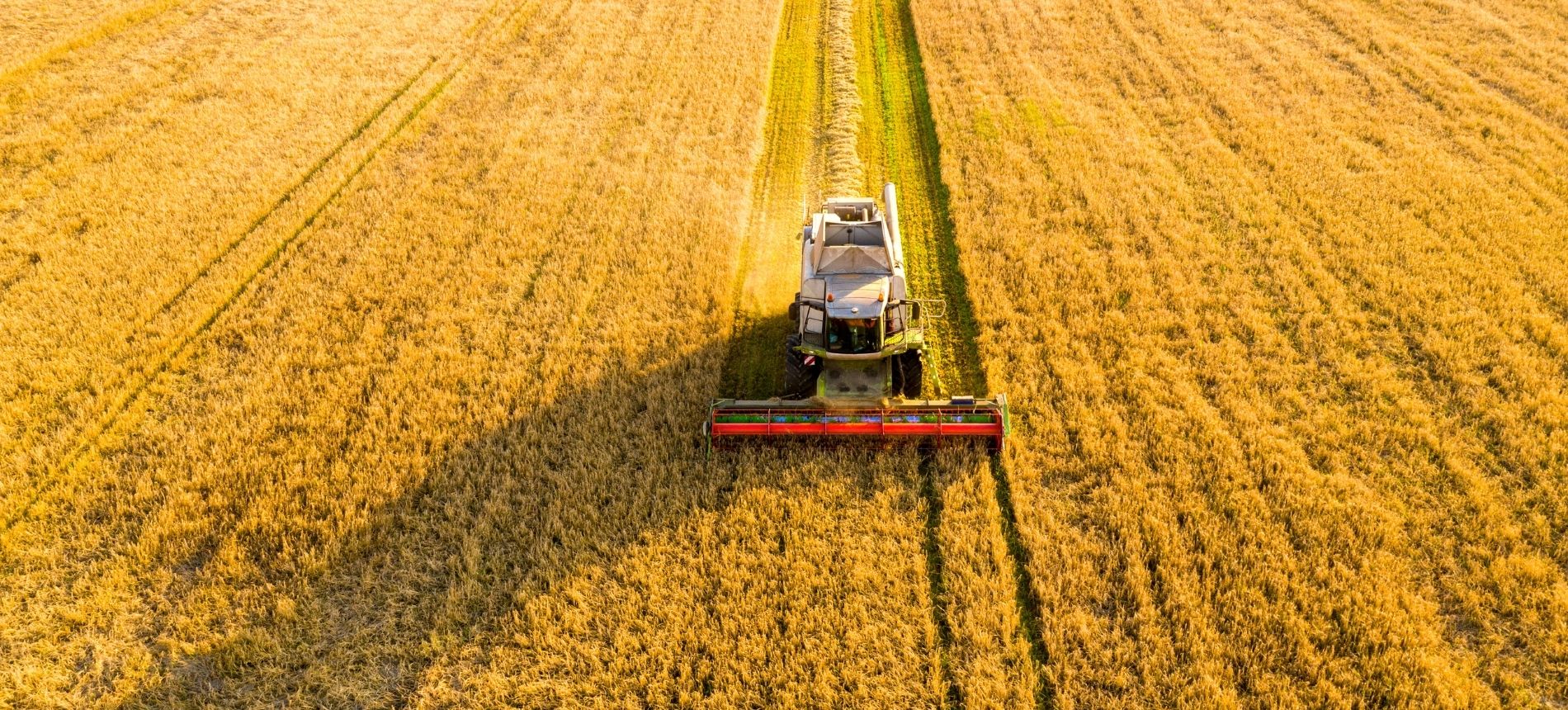 Zenit Kimya Growing Up With Agriculture